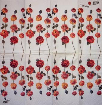 ROS-0886 Rosen - 4-lagig - Sniff - Fringe - Taschentuch